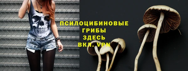 стаф Аркадак