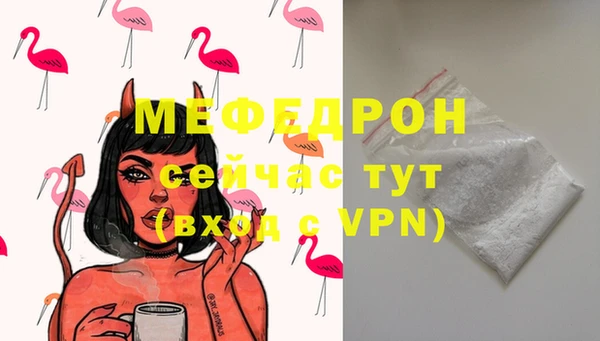 стаф Аркадак