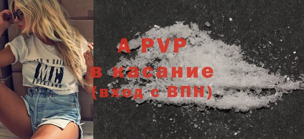 стаф Аркадак