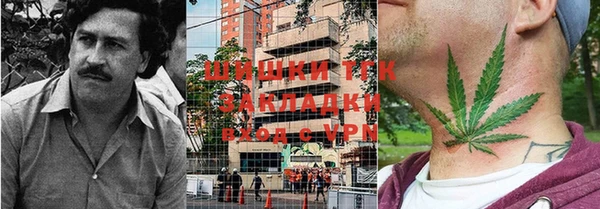 стаф Аркадак