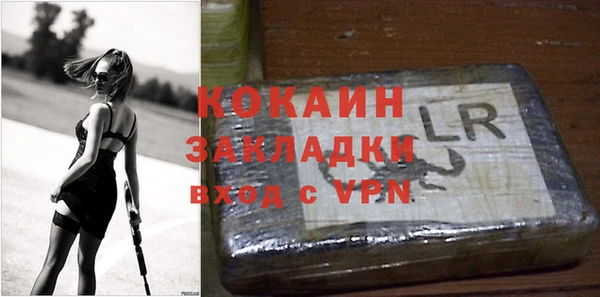 стаф Аркадак